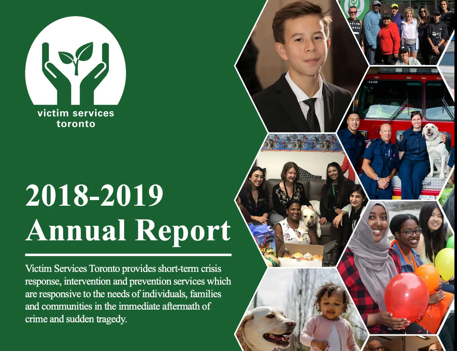 VST Annual Report 2019