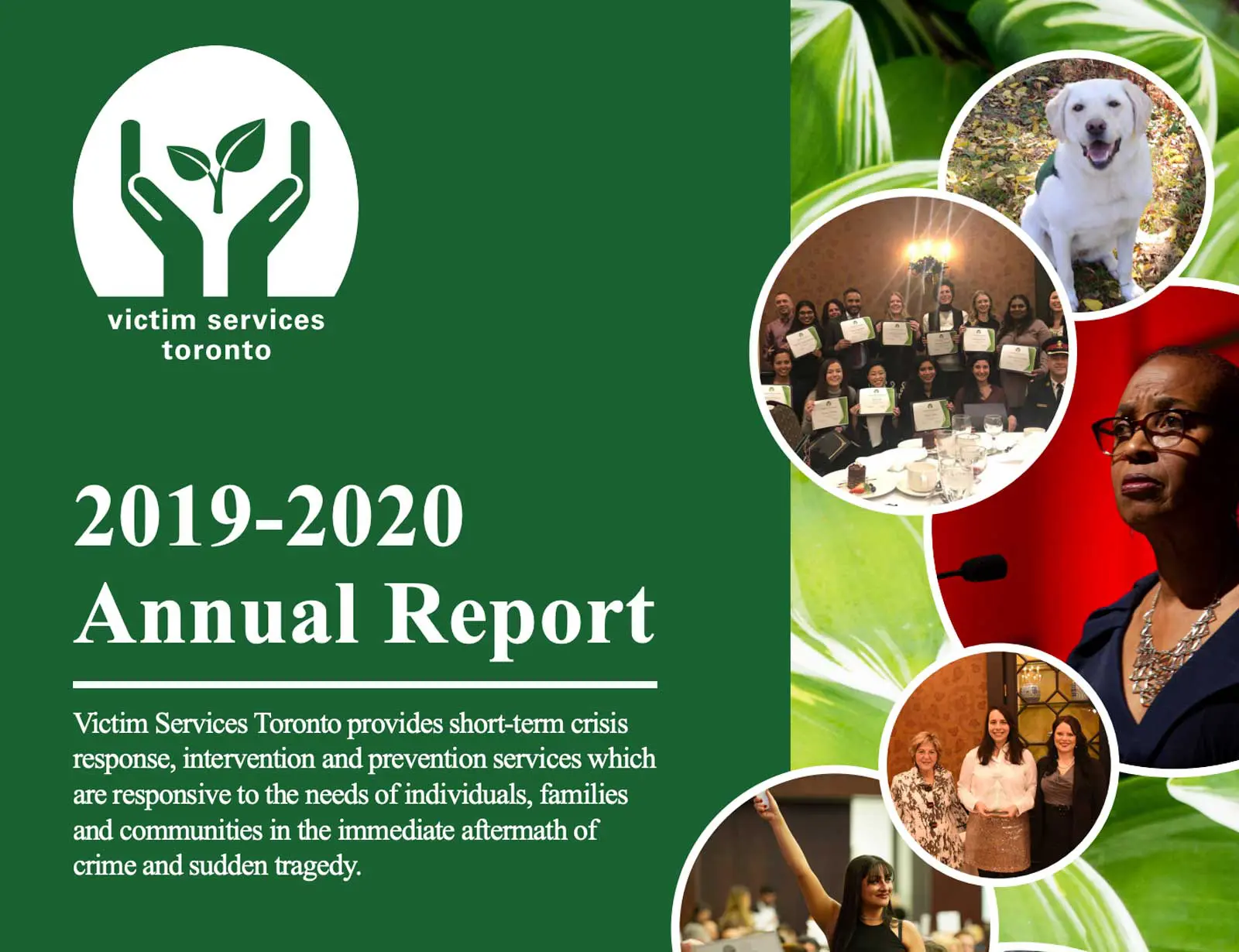 VST Annual Report 2020